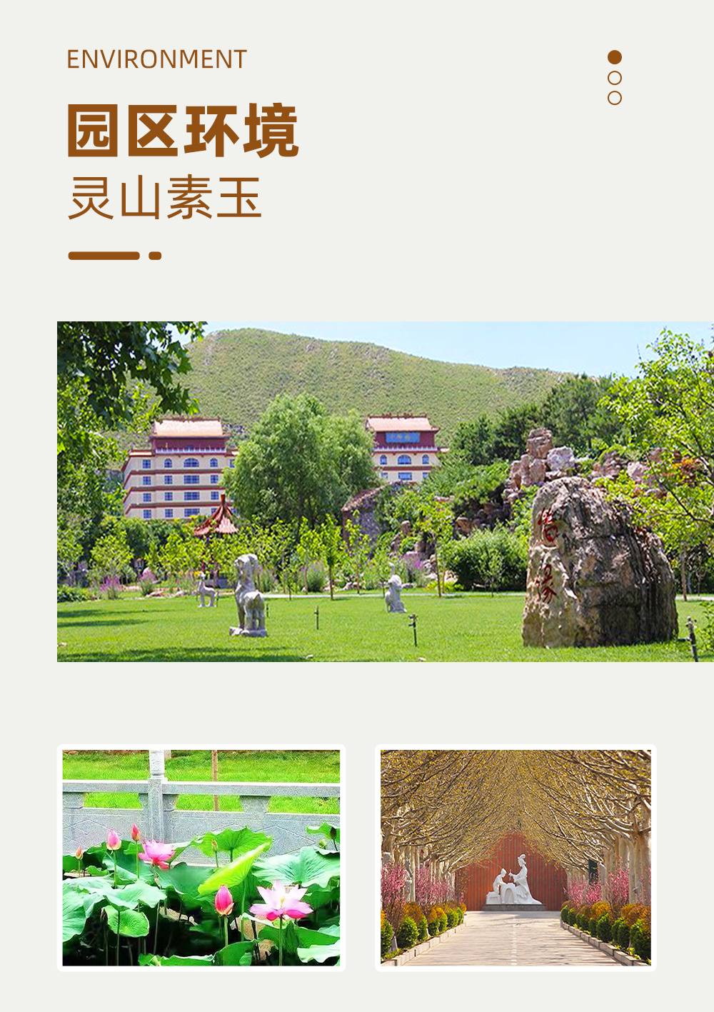 1716797700342041.jpg 未标题-3.jpg